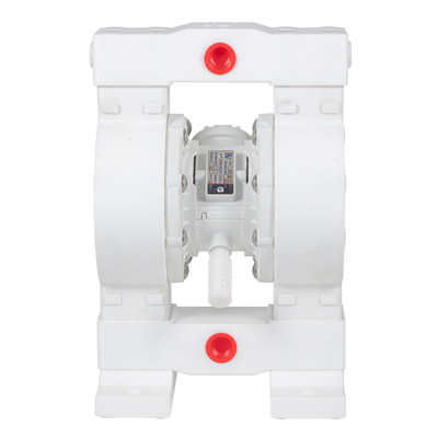 Pompa a membrana RV PTFE 36 lpm portata massima 100 psi pressione
