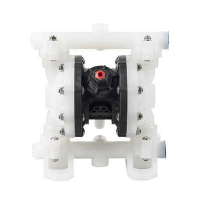 Pompa a diaframma pneumatico con pressione massima di 100 psi e diaframma in PTFE per il trattamento delle acque reflue