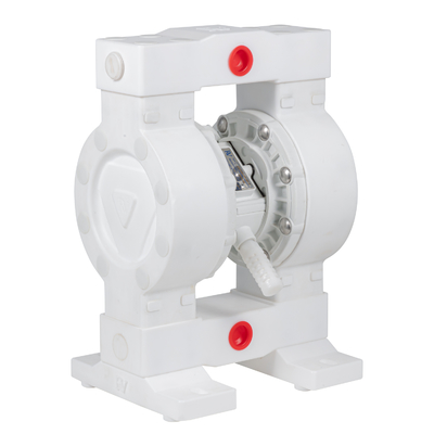 Pompa a membrana RV PTFE 36 lpm portata massima 100 psi pressione