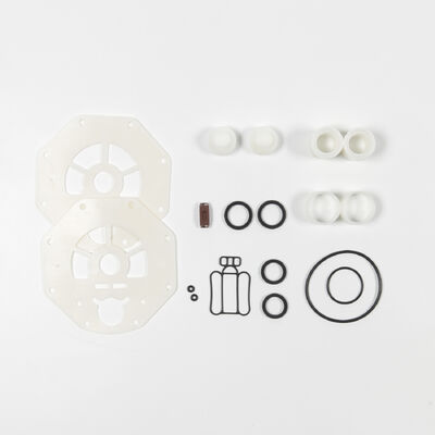 Pompa a membrana in PTFE con materiale PP con pressione massima di 100 psi per il trasferimento di soluzione di urea