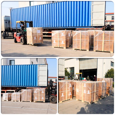 Pompa a membrana elettrica da 2 pollici con motore antideflagrante, portata di 10,5 m³/h per applicazioni a bassa pressione