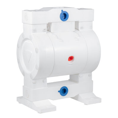 Pompa a membrana pneumatica personalizzabile in materiale PTFE a bassa pressione per l'industria chimica delle acque reflue