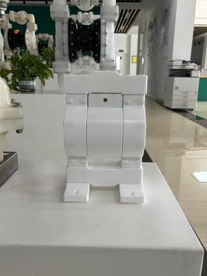 Pompa a membrana pneumatica personalizzabile in materiale PTFE a bassa pressione per l'industria chimica delle acque reflue