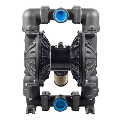 120 psi Max Pressure PTFE Diaphragm Pump per il trattamento e l'irrigazione delle acque reflue