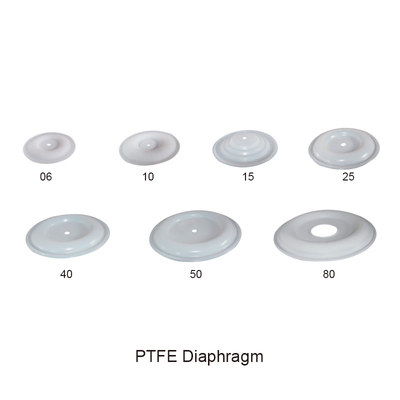 Parti pneumatiche della pompa a diaframma del diaframma PTFE doppie