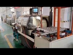 Gruppo di lavoro di tecnologia di Jianglang della pianta