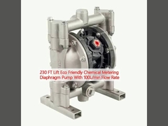 230 FT Lift Eco-Friendly Chemical Metering Diaphragm Pump con portata di 100L/min